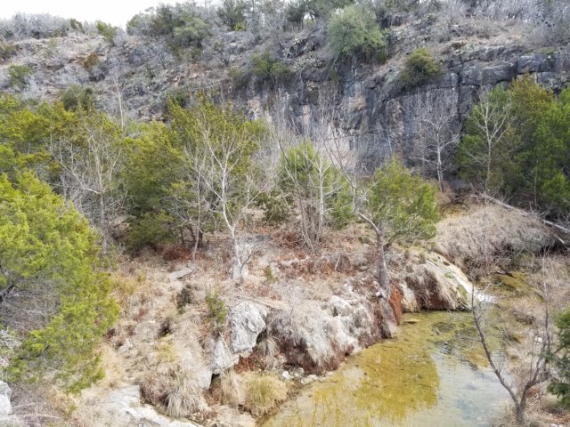 spicewoodsprings20180217_103734.jpg